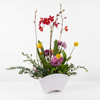 ideal para decoración, centros de mesa, plantas vivas orquídeas