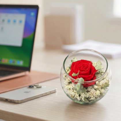 Decoración, oficinas, rosa eterna
